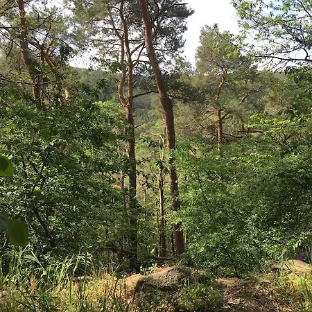Im Wald An Der Weinstrasse Apartment *