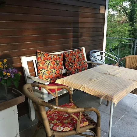 Apartment Im Wald An Der Weinstrasse Bad Duerkheim