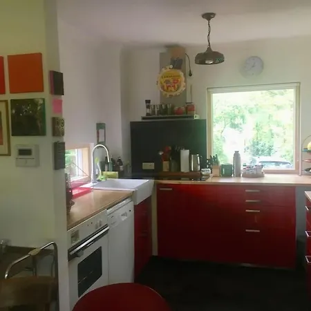 Im Wald An Der Weinstrasse Bad Dürkheim