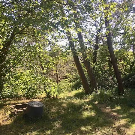 Apartment Im Wald An Der Weinstrasse