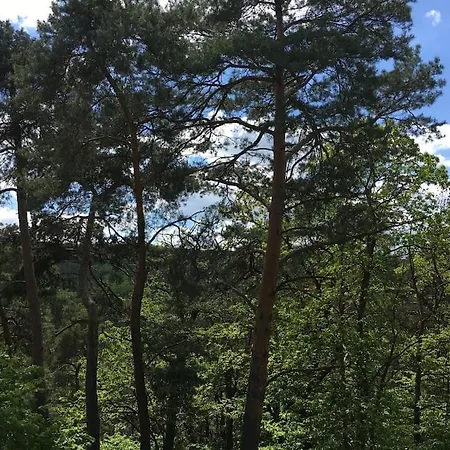 Apartment Im Wald An Der Weinstrasse *