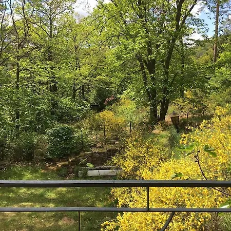 Im Wald An Der Weinstrasse *