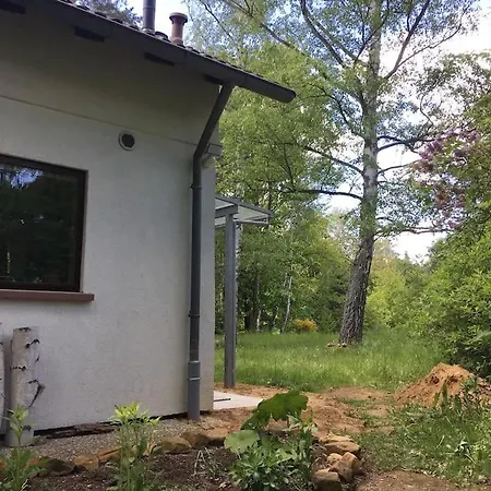 Im Wald An Der Weinstrasse * Bad Duerkheim