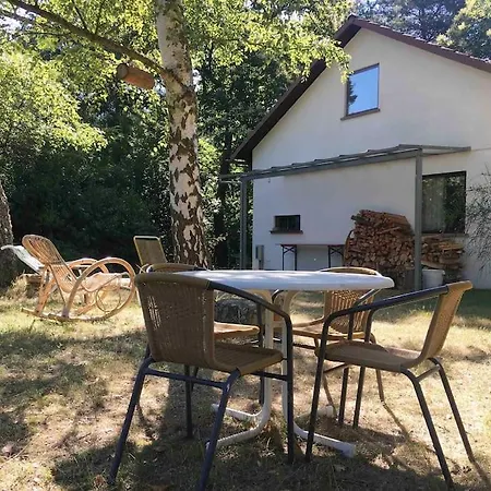 Im Wald An Der Weinstrasse