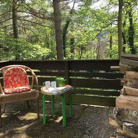 Apartment Im Wald An Der Weinstrasse Bad Duerkheim