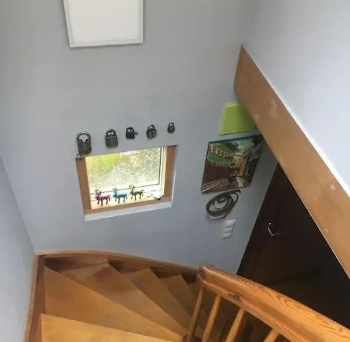 Im Wald An Der Weinstrasse