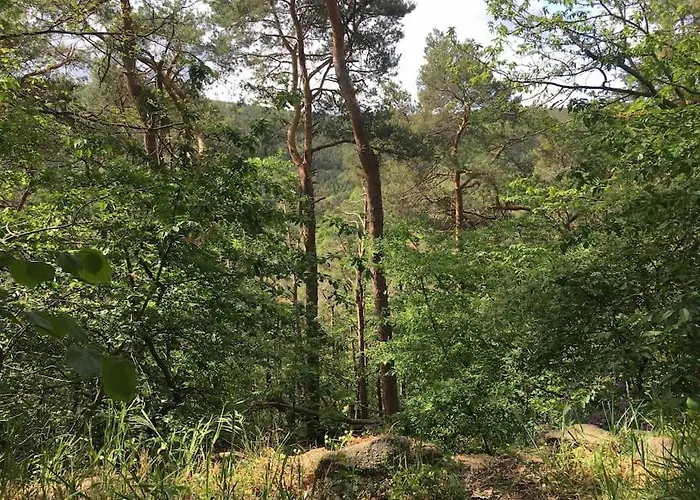 Im Wald An Der Weinstrasse Apartamento *