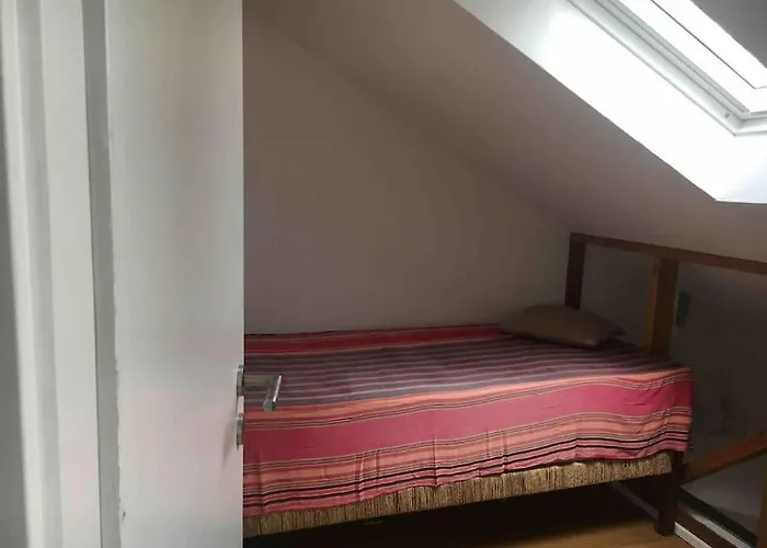 Im Wald An Der Weinstrasse