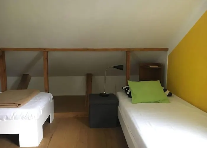 Im Wald An Der Weinstrasse * Bad Dürkheim