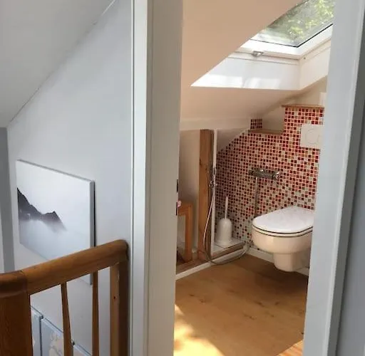 Im Wald An Der Weinstrasse