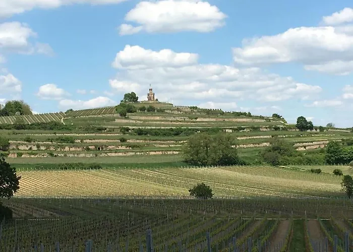 Apartamento Im Wald An Der Weinstrasse