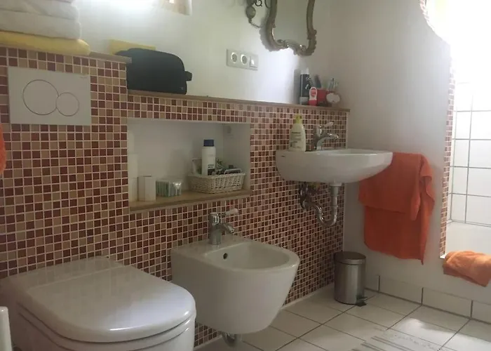 Im Wald An Der Weinstrasse *