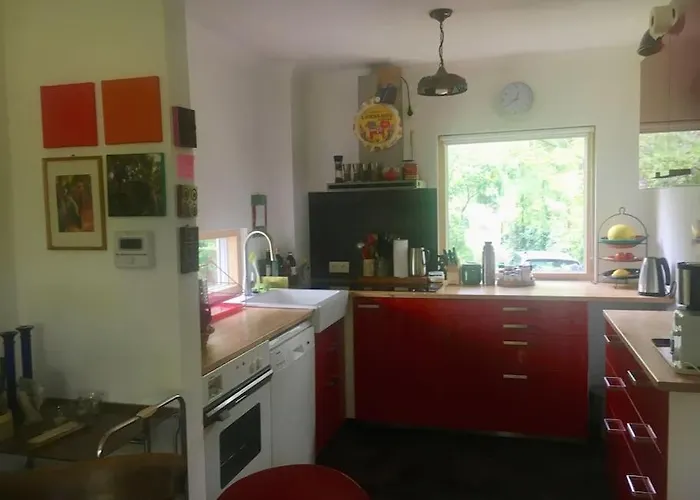 Im Wald An Der Weinstrasse Bad Dürkheim