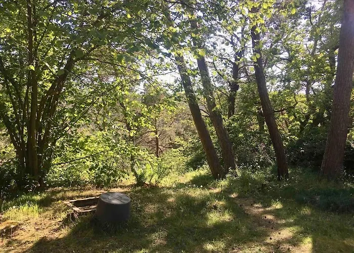 Apartamento Im Wald An Der Weinstrasse