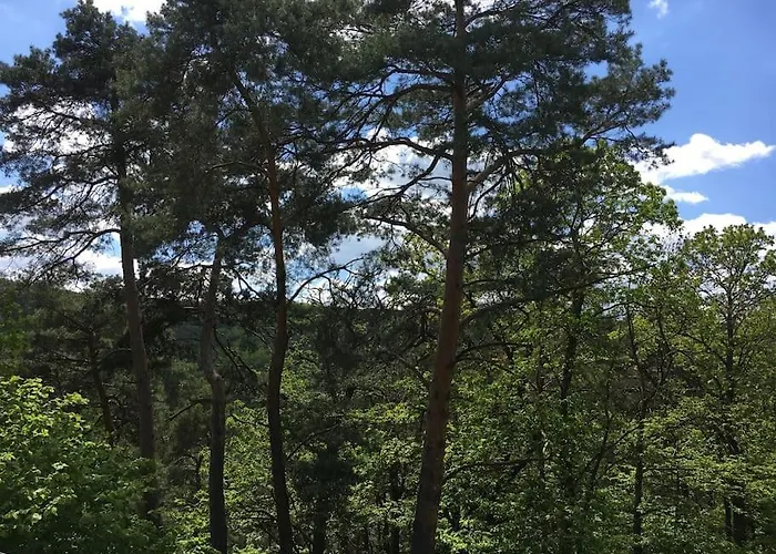 Apartamento Im Wald An Der Weinstrasse *