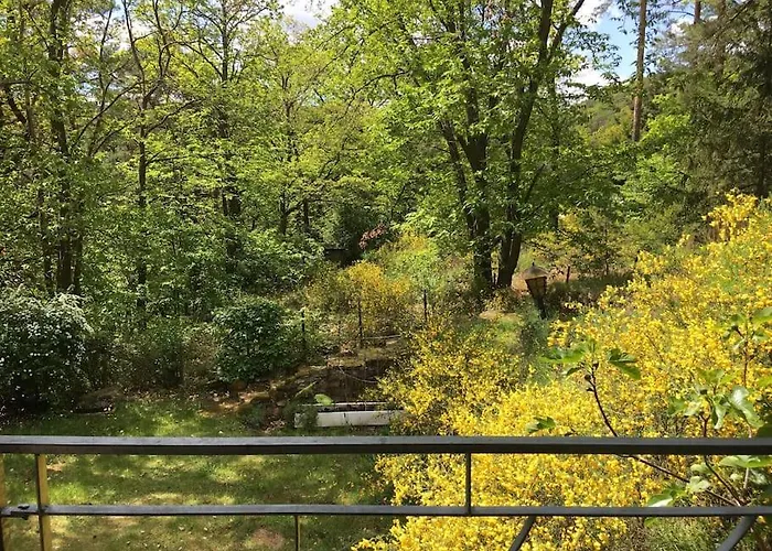 Im Wald An Der Weinstrasse *