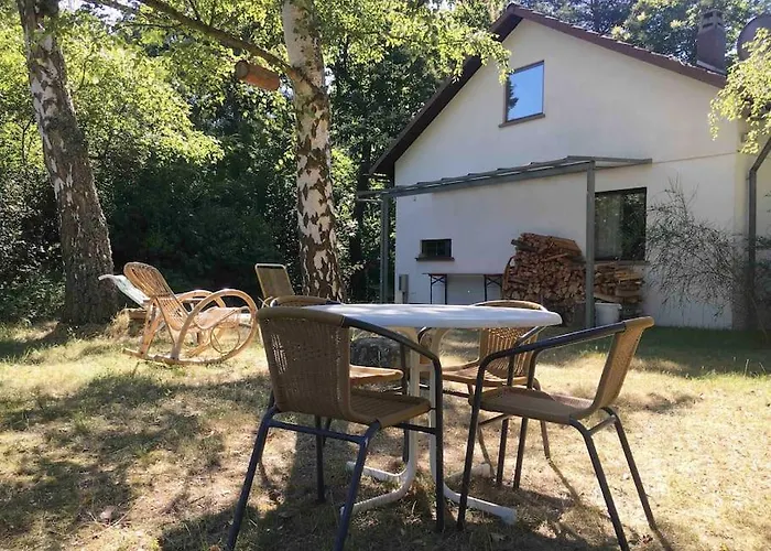 Im Wald An Der Weinstrasse