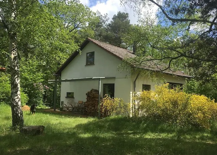 Im Wald An Der Weinstrasse