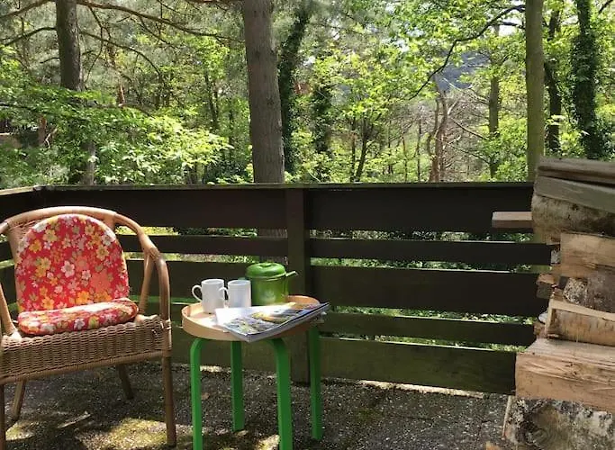 Apartamento Im Wald An Der Weinstrasse Bad Dürkheim